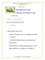 Giáo án mầm non chương trình đổi mới: NGÀY HÈ CỦA BÉ - Đề tài : Ca hát đón hè về pot