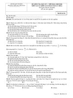 ĐỀ KIỂM TRA HỌC KỲ I - NIÊN HỌC (2009-2010) MÔN VẬT LÝ KHỐI 12 THPT BÙI THỊ XUÂN docx