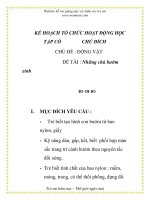 Giáo án mầm non chương trình đổi mới: KẾ HOẠCH TỔ CHỨC HOẠT ĐỘNG HỌC TẬP CÓ CHỦ ĐÍCH - hững chú bướm xinh pdf