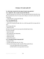 Di truyền thực vật - Chương 6. Di truyền quần thể ppt