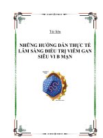 NHỮNG HƯỚNG DẪN THỰC TẾ LÂM SÀNG ĐIỀU TRỊ VIÊM GAN SIÊU VI B MẠN ppsx