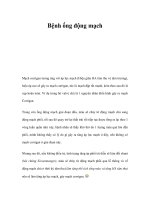 Bệnh ống động mạch pps