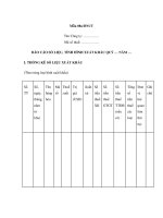 MẪU BÁO CÁO SỐ LIỆU, TÌNH HÌNH XUẤT KHẨU QUÝ pptx