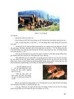 Giáo trình : KHAI THÁC VÀ VẬN CHUYỂN LÂM SẢN part 2 pdf