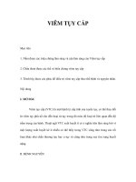 VIÊM TỤY CẤP ppt