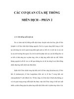 CÁC CƠ QUAN CỦA HỆ THỐNG MIỄN DỊCH – PHẦN 2 ppsx