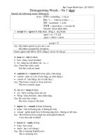 Distinguishing Words – No 1 (key) pdf