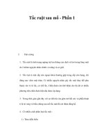 Tắc ruột sau mổ - Phần 1 doc