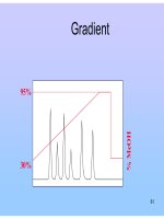 Bài giảng : CÁC QUÁ TRÌNH TÁCH TRONG SẮC KÝ LỎNG part 7 ppsx
