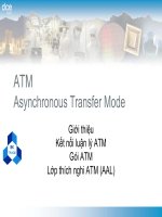 Kỹ thuật truyền số liệu : ATM Asynchronous Transfer Mode part 1 potx