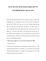 XUẤT HUYẾT DƯỚI MÀNG NHỆN DO VỠ TÚI PHÌNH ĐỘNG MẠCH NÃO pps