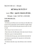 Giáo trình mầm non – mẫu giáo: tuần 5 chủ đề rau- nguồn vitamin pdf