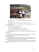 Giáo trình : KHAI THÁC VÀ VẬN CHUYỂN LÂM SẢN part 4 docx