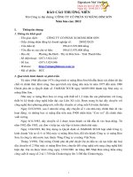 BÁO cáo THƯỜNG NIÊN CÔNG TY cổ PHẦN XI MĂNG bỉm sơn 2012