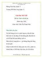 Giáo án mầm non chương trình đổi mới: Chơi với túi cát. pps