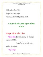 Giáo án mầm non chương trình đổi mới: CHƠI VỚI ĐỒ CHƠI DẠNG HÌNH KHỐI potx