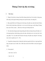 Thủng ổ loét dạ dày tá tràng doc