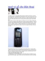 mod vỏ gỗ cho điện thoại di động pps