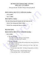 ĐỀ THI VĂN KHỐI D 2010 CÓ LỜI GIẢI pot