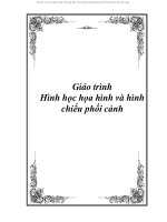 phối cảnh trong hình học họa hình