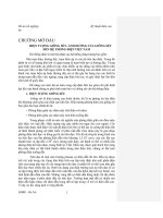 [Điện Tử Học] Kỹ Thuật Điện Cao - Giông Sét Phần 1 ppsx