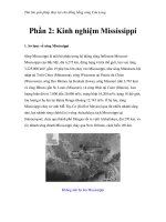 Thử tìm giải pháp thủy lợi cho đồng bằng sông Cửu Long - Phần 2: Kinh nghiệm Mississippi pptx