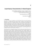 liquid sprays characteristics in diesel engines