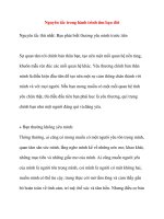 Nguyên tắc trong hành trình tìm bạn đời pptx