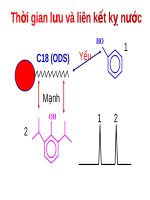 Bài giảng : Sắc ký lỏng part 5 ppt