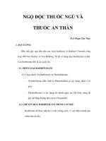 NGỘ ĐỘC THUỐC NGỦ VÀ THUỐC AN THẦN pot