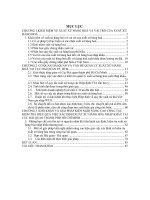 Công tác quản lí xuất xứ hàng hoá xuất nhập khẩu tại cục hải quan TP HCM trong thời kì hội nhập