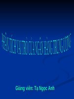 PHÂN TÍCH VAI TRÒ CỦA NGÂN HÀNG TRUNG ương ppt