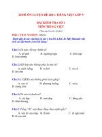 20 ĐỀ ÔN LUYỆN HÈ 2011- TIẾNG VIỆT LỚP 5 ĐỀ 1+2+3 docx