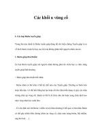 Các khối u vùng cổ ppsx