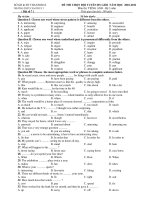 ĐỀ THI CHỌN ĐỘI TUYỂN HS GIỎI NĂM HỌC 2010-2011 Môn thi: TIẾNG ANH( Bài 7 ) - TRƯỜNG THPT CẨM THỦY 1 pptx