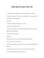 Xuất Huyết Giảm Tiểu Cầu doc