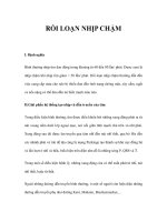 RỐI LOẠN NHỊP CHẬM docx