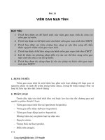 Viêm gan mạn tính potx