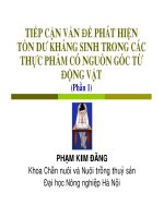 Bài giảng : TIẾP CẬN VẤN ĐỀ PHÁT HIỆN TỒN DƯ KHÁNG SINH TRONG CÁC THỰC PHẨM CÓ NGUỒN GỐC TỪ ĐỘNG VẬT PART 1 pptx