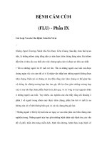 BỆNH CẢM CÚM (FLU) - Phần IX potx