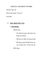 Giáo án mầm non chương trình đổi mới: Chủ đề: Thực vật Đề tài: Kể chuyện “Cây táo” Lớp mầm pot