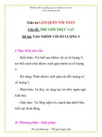 Giáo án mầm non chương trình đổi mới:Chủ đề: THẾ GIỚI THỰC VẬT - Đề tài: TẠO NHÓM VỚI SỐ LƯỢNG 5 pot