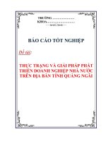BÁO CÁO TỐT NGHIỆP: THỰC TRẠNG VÀ GIẢI PHÁP PHÁT TRIỂN DOANH NGHIỆP NHÀ NƯỚC TRÊN ĐỊA BÀN TỈNH QUẢNG NGÃI ppsx