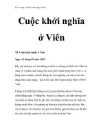 Cách mạng và phản cách mạng ở Đức - Cuộc khởi nghĩa ở Viên pot