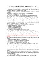 Đề thi thử đại học năm 2011 môn Sinh học pot