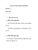 Giáo án mầm non chương trình đổi mới: Đề tài: Cá. Lớp: Mầm doc