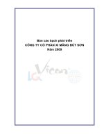 báo cáo bạch phát triển 2009 CÔNG TY cổ PHẦN XI MĂNG VICEM bút sơn
