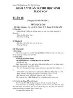 GIÁO ÁN THỂ DỤC TUẦN 18 CHO HỌC SINH MẦM NON pdf