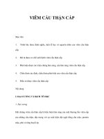 VIÊM CẦU THẬN CẤP potx