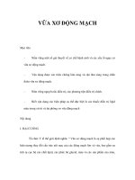 VỮA XƠ ĐỘNG MẠCH pptx